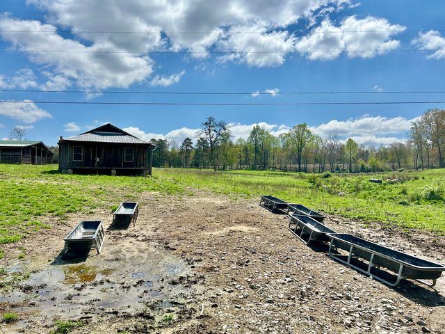 428 Dick Wilson Road, Strunk, KY 42649