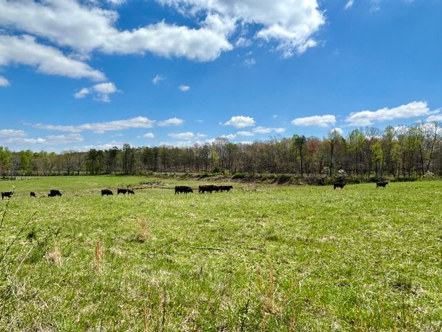 428 Dick Wilson Road, Strunk, KY 42649
