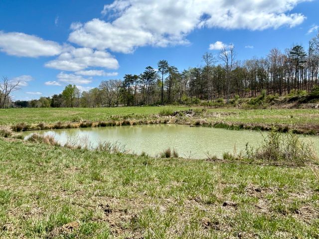 428 Dick Wilson Road, Strunk, KY 42649