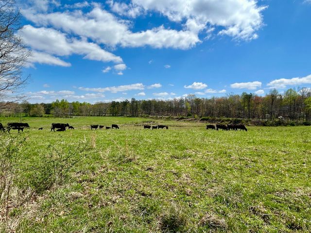 428 Dick Wilson Road, Strunk, KY 42649