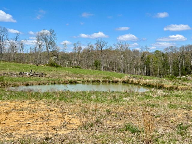 428 Dick Wilson Road, Strunk, KY 42649