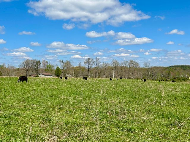 428 Dick Wilson Road, Strunk, KY 42649