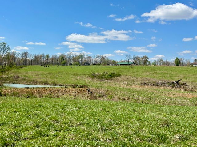 428 Dick Wilson Road, Strunk, KY 42649