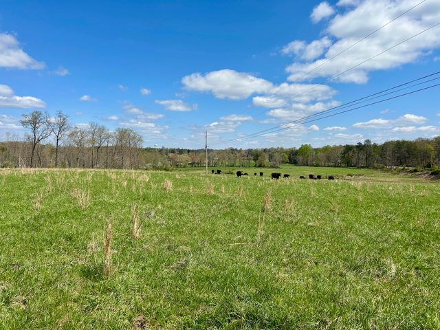 428 Dick Wilson Road, Strunk, KY 42649
