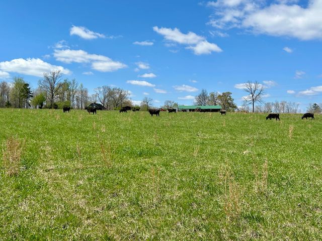 428 Dick Wilson Road, Strunk, KY 42649