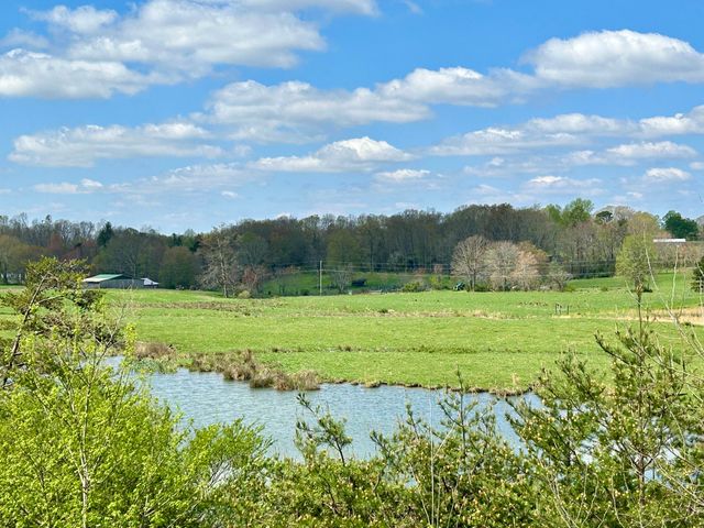 428 Dick Wilson Road, Strunk, KY 42649