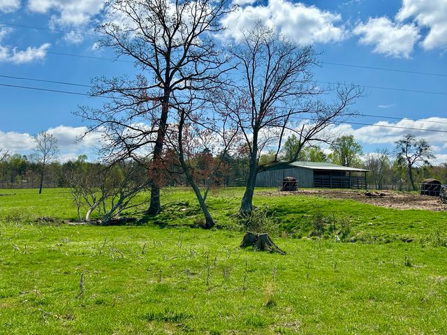 428 Dick Wilson Road, Strunk, KY 42649