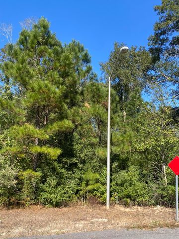 E Robinwood Dr, Moss Bluff, LA 70611