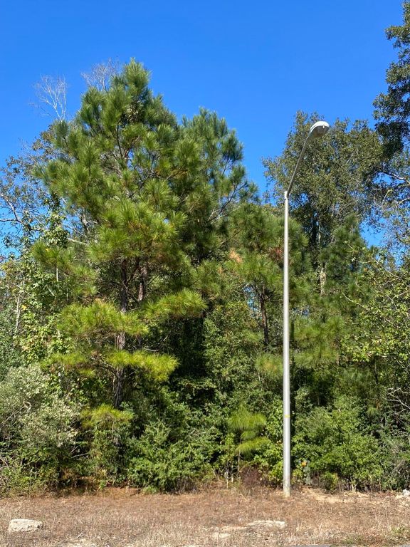 E Robinwood Dr, Moss Bluff, LA 70611