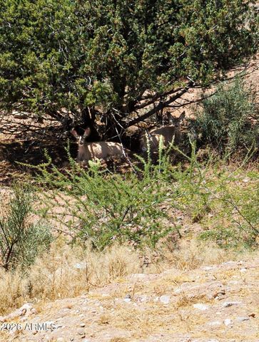 4655 E KERRY Drive, Rimrock, AZ 86335
