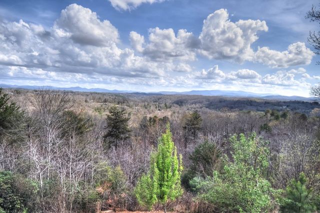 185 Logan Drive, Mineral Bluff, GA 30559