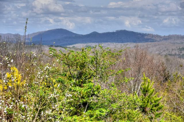 185 Logan Drive, Mineral Bluff, GA 30559