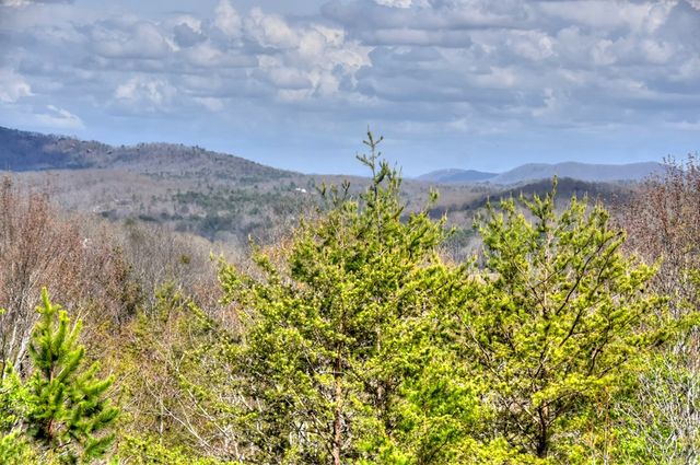 185 Logan Drive, Mineral Bluff, GA 30559