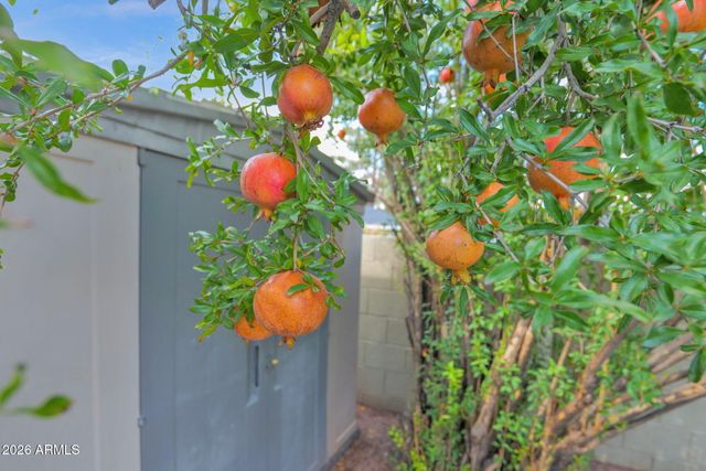 4826 E FAIRMOUNT Avenue, Phoenix, AZ 85018