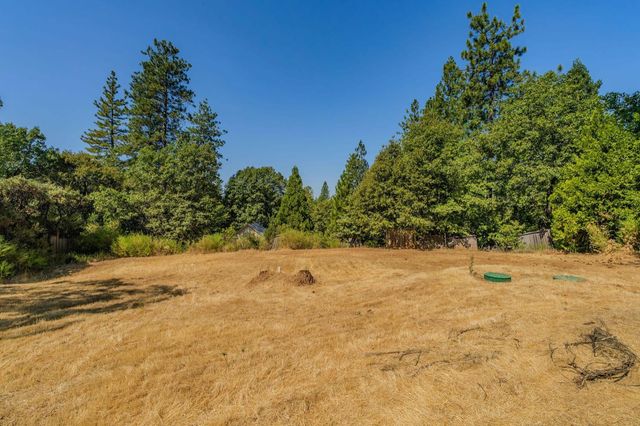 22800 Alaire Ln, Pioneer, CA 95666