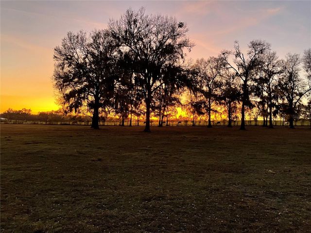 1650 NE 146TH AVENUE, Williston, FL 32696