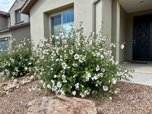 6119 Wyeth Drive SE, Albuquerque, NM 87106