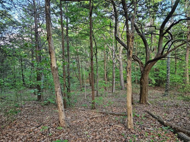 65 Lakewood Lane, Pottsboro, TX 75076