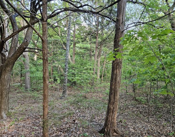 65 Lakewood Lane, Pottsboro, TX 75076