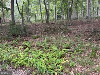 LOT 9 PARADISE ROAD PARADISE RD, Wardensville, WV 26851