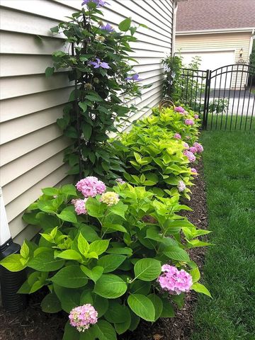 N515 Armstrong Lane, Geneva, IL 60134