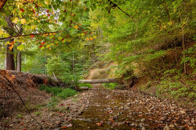 0 Puckett Hollow Rd, Centerville, TN 37033