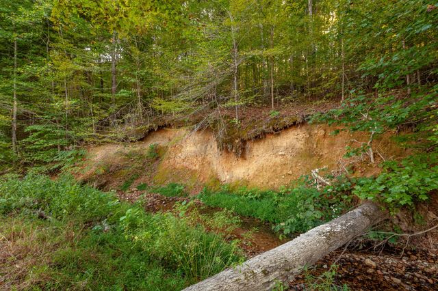 0 Puckett Hollow Rd, Centerville, TN 37033