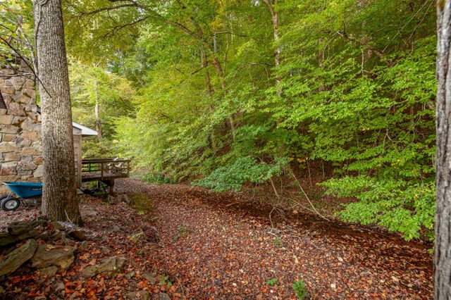 0 Puckett Hollow Rd, Centerville, TN 37033