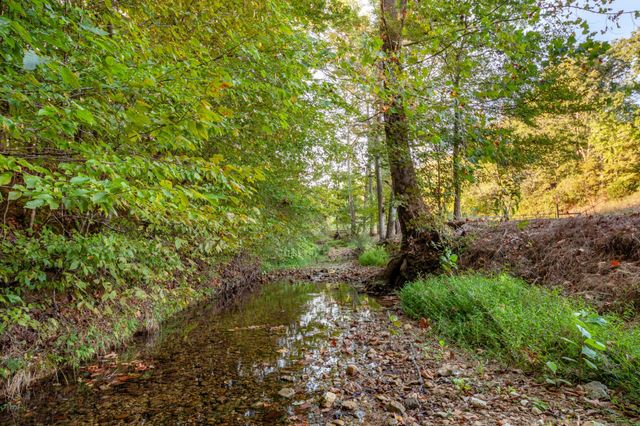 0 Puckett Hollow Rd, Centerville, TN 37033