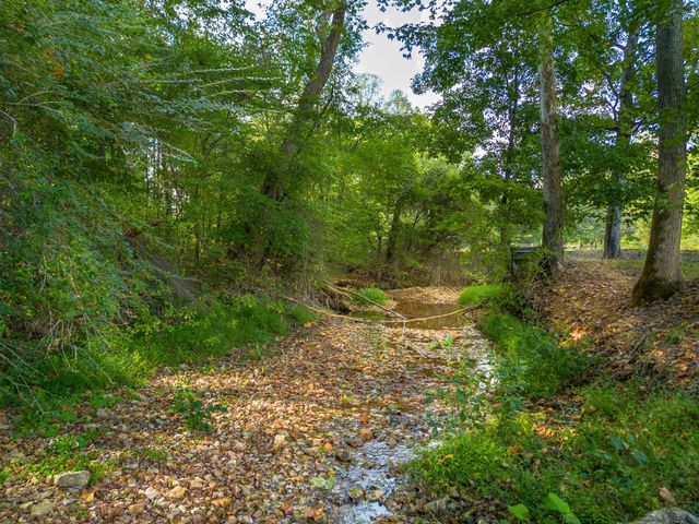 0 Puckett Hollow Rd, Centerville, TN 37033