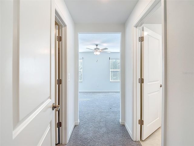 6170 SHINER STREET, Land O Lakes, FL 34638