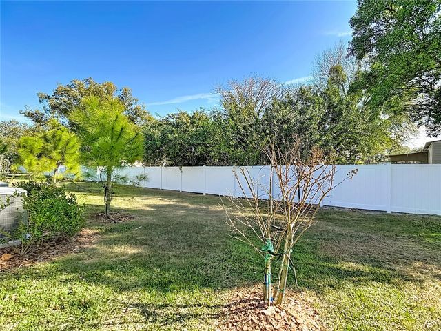 6170 SHINER STREET, Land O Lakes, FL 34638