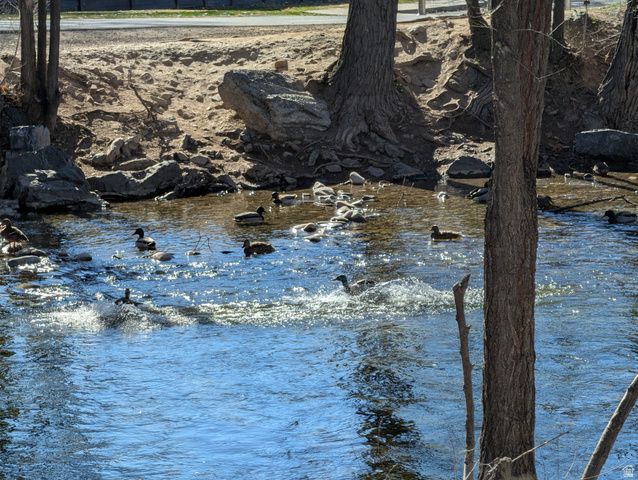 1524 W MERLIN DR, Provo, UT 84601