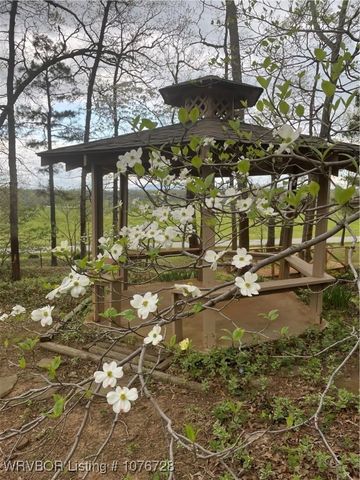 1900 Bottom Fork Road, Mansfield, AR 72944