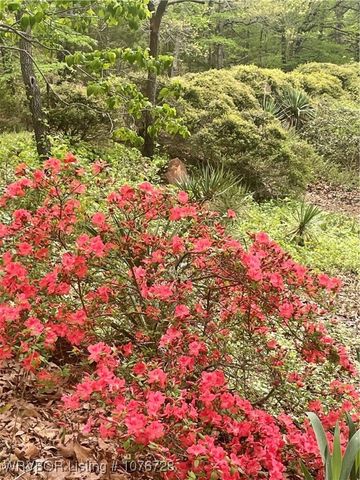 1900 Bottom Fork Road, Mansfield, AR 72944