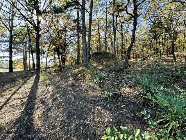 1900 Bottom Fork Road, Mansfield, AR 72944