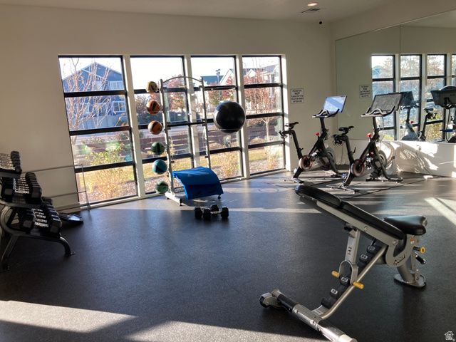 643 N 160 E, Vineyard, UT 84059