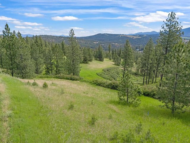 9630 S Sands Rd, Valleyford, WA 99036