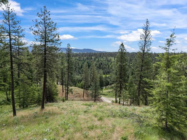 9630 S Sands Rd, Valleyford, WA 99036