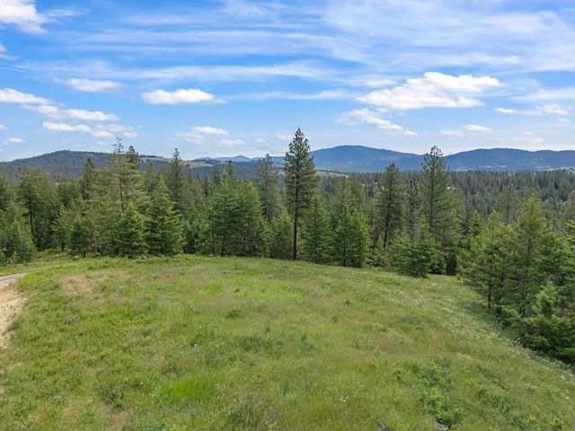 9630 S Sands Rd, Valleyford, WA 99036