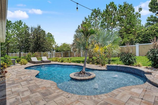 11882 FROST ASTER DRIVE, Riverview, FL 33579