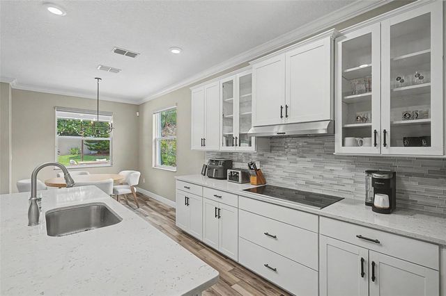 11882 FROST ASTER DRIVE, Riverview, FL 33579