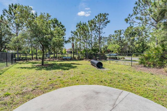 11882 FROST ASTER DRIVE, Riverview, FL 33579