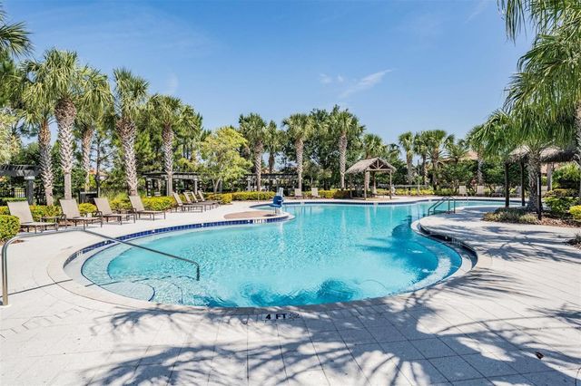 11882 FROST ASTER DRIVE, Riverview, FL 33579