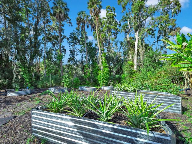 11562 MONETTE ROAD, Riverview, FL 33569