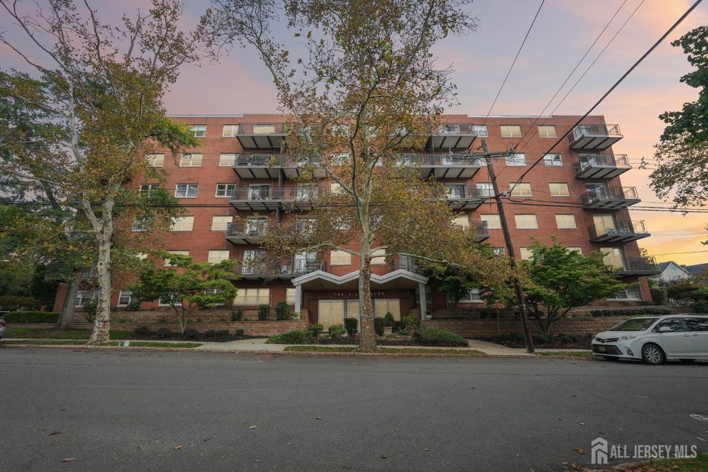 123 S Adelaide Avenue 3J, Highland Park, NJ 08904
