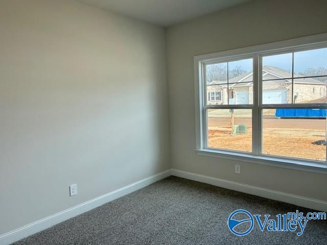 124 Duskwood Drive, Harvest, AL 35749