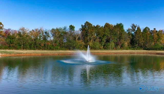 124 Duskwood Drive, Harvest, AL 35749