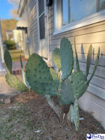 426 Manor, Florence, SC 29501