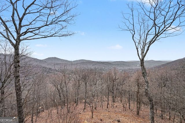 2136 Ridgeview Drive, Big Canoe, GA 30143